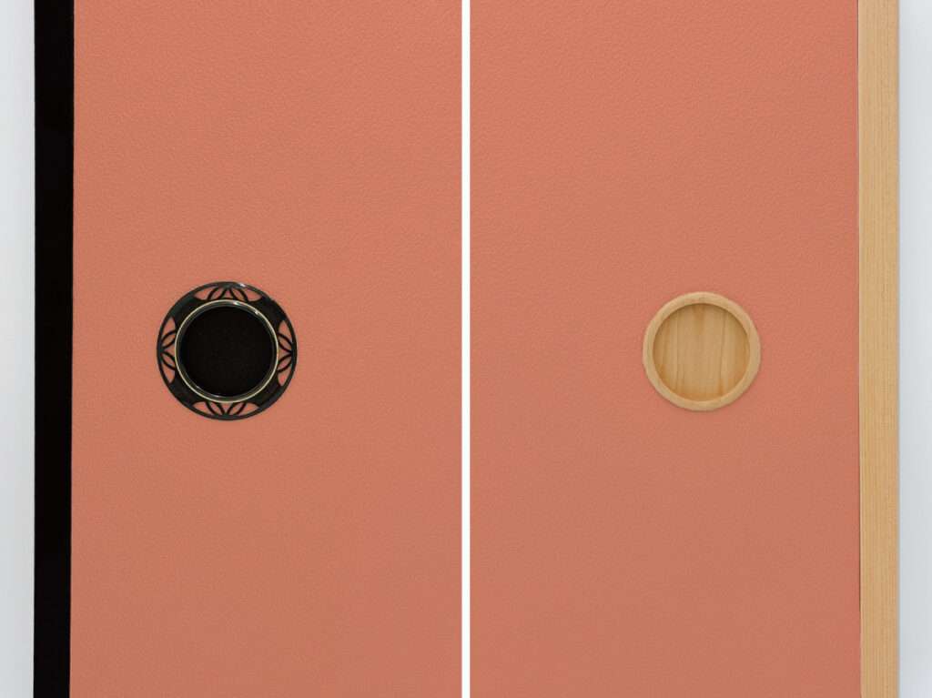 サーモンピンクの東雲色と黒建具・木目建具の組み合わせ