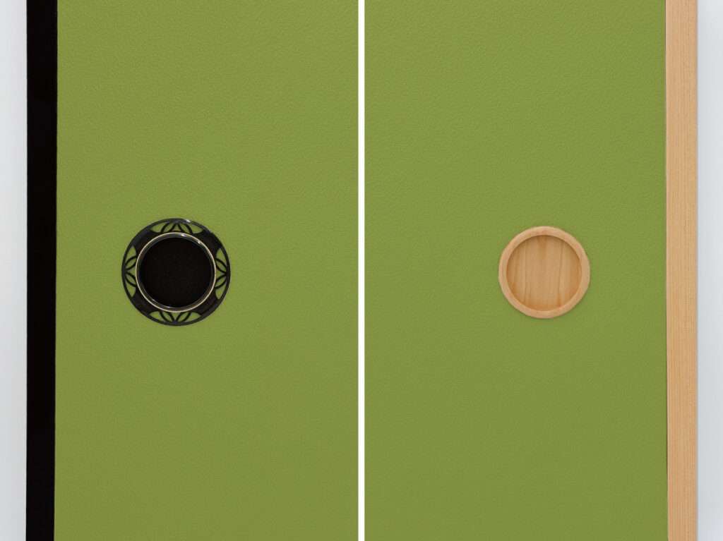 個性的ながら使いやすい青丹と黒建具・木目建具の組み合わせ