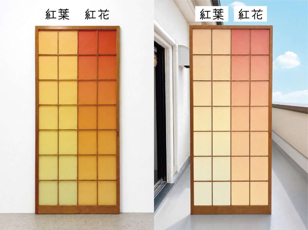 採光の違いでグラデーション障子紙はどう見える？スタッフが紅葉と紅花を検証